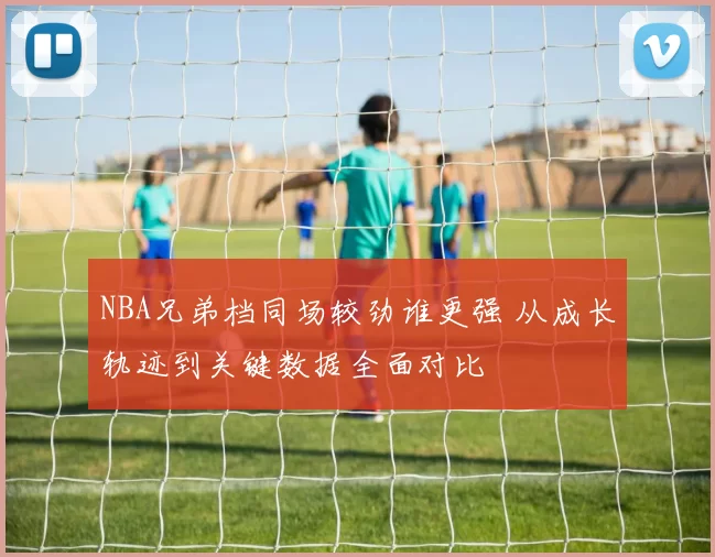 NBA兄弟档同场较劲谁更强 从成长轨迹到关键数据全面对比