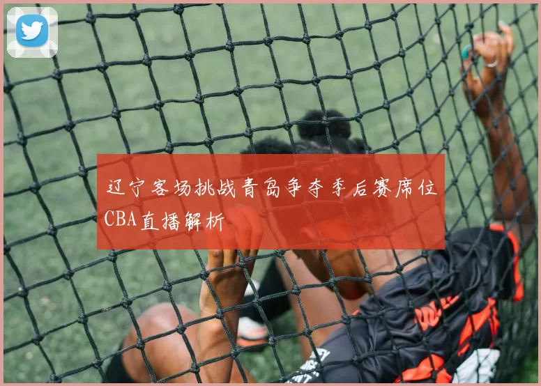 辽宁客场挑战青岛争夺季后赛席位CBA直播解析